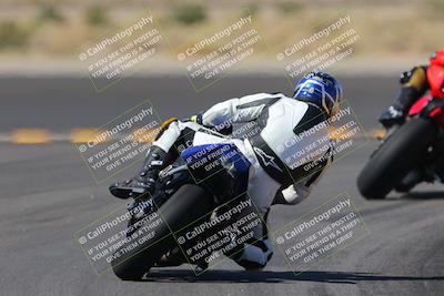 media/Oct-08-2022-SoCal Trackdays (Sat) [[1fc3beec89]]/Turn 11 Backside (1145am)/